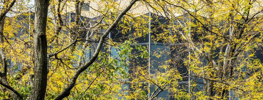 Law Building in early fall