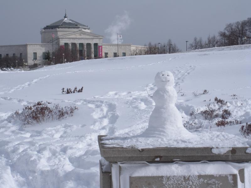 A happy snowman enjoys the front lawn of the Shedd Aquarium. (Photo by Kelly Albinak '11)