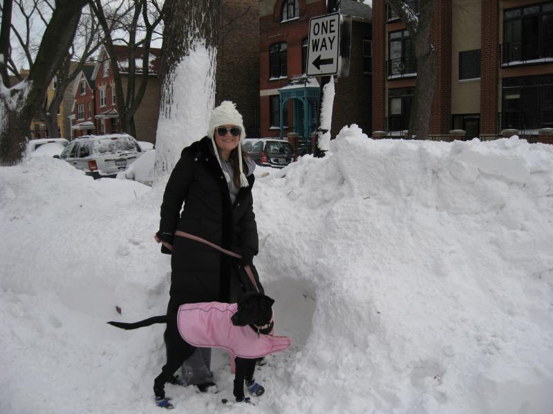 Teresa Sullivan '12 and her dog Arequipa discovered this igloo while exploring Wicker Park. 