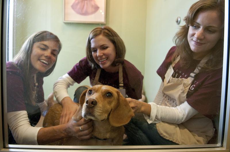 1Ls sharing their affection with a lucky dog.