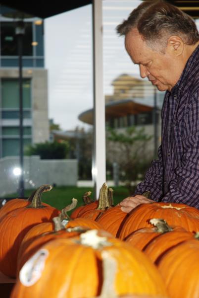 LLM pumpkin carving