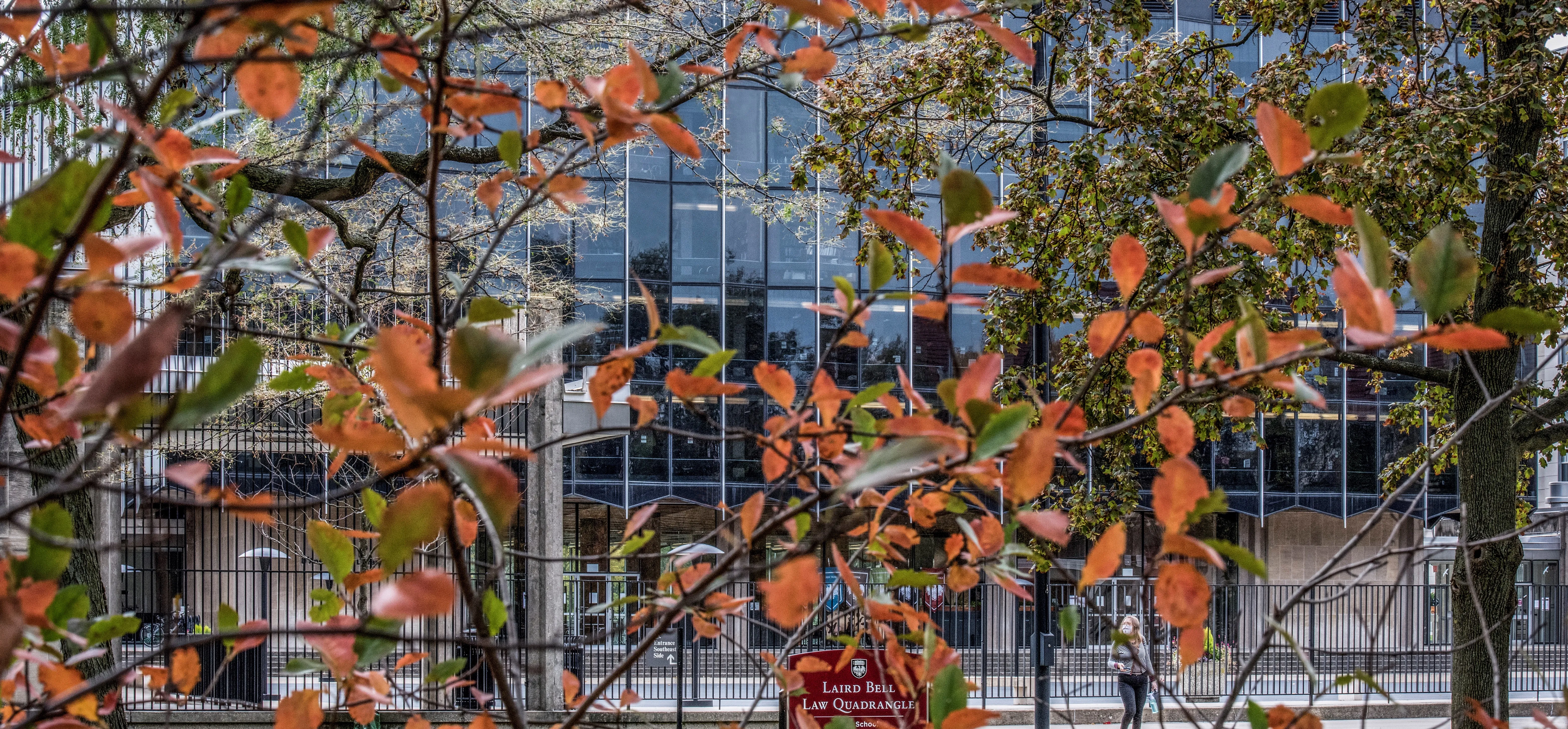 Photo of the Law building in the fall